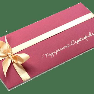 Подарочный сертификат на запись песни в студии Vocal Premium